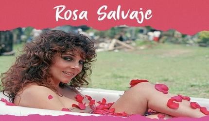 Rosa salvaje Capitulo 187